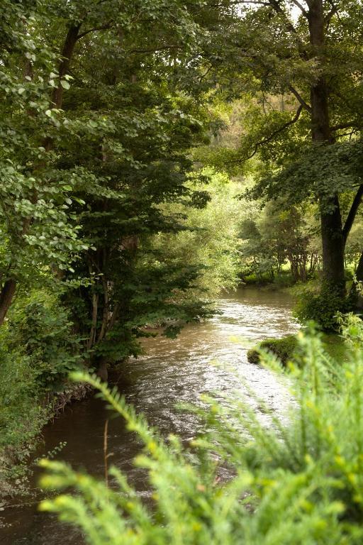 Zur Alten Muhle Lützkampen Exterior foto